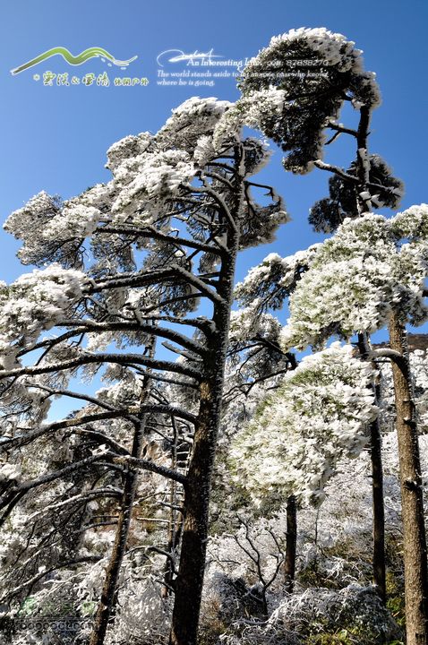 牯牛降穿越DSC_2068