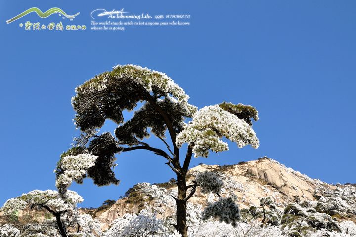 牯牛降穿越DSC_2069