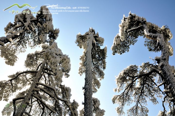 牯牛降穿越DSC_2071