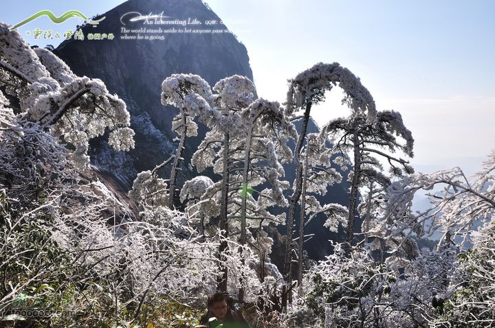 牯牛降穿越DSC_2073