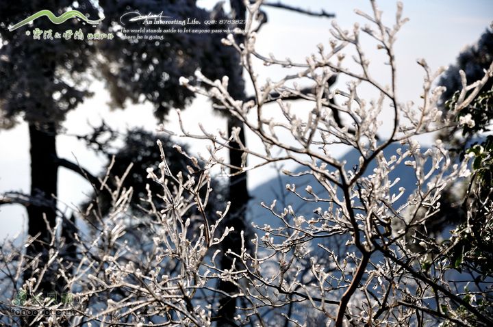 牯牛降穿越DSC_2075