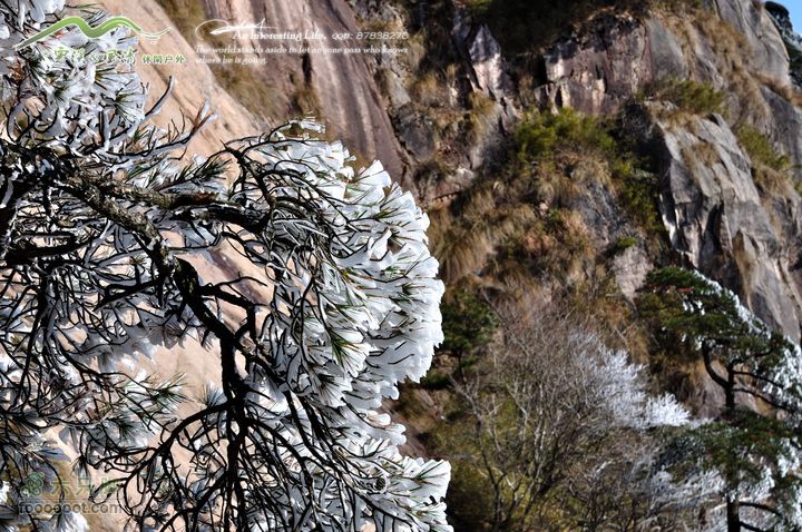 牯牛降穿越DSC_2080