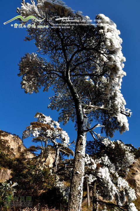 牯牛降穿越DSC_2090