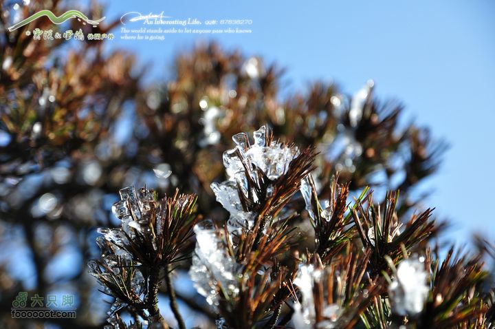 牯牛降穿越DSC_2131