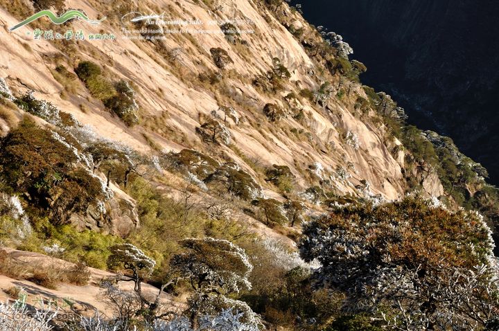 牯牛降穿越DSC_2157