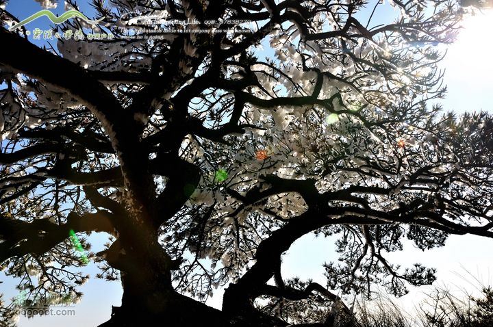 牯牛降穿越DSC_2162