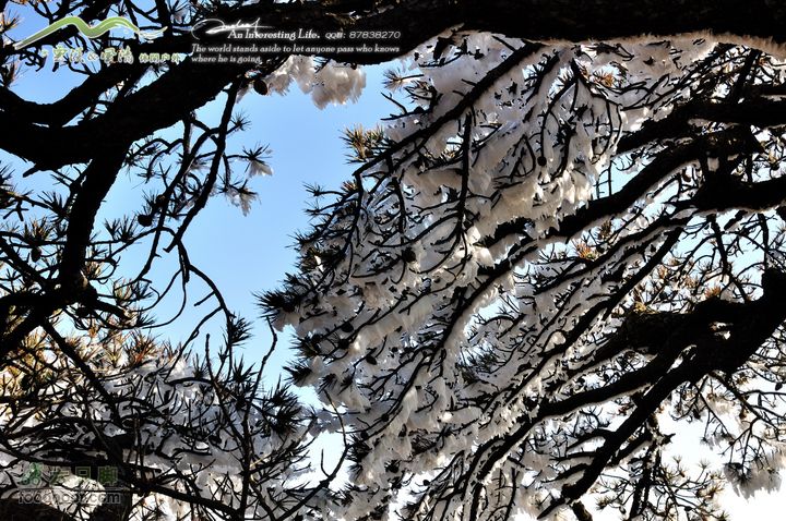 牯牛降穿越DSC_2163