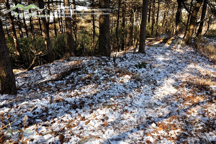 牯牛降穿越DSC_2180