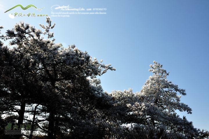 牯牛降穿越DSC_2216