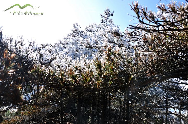 牯牛降穿越DSC_2230