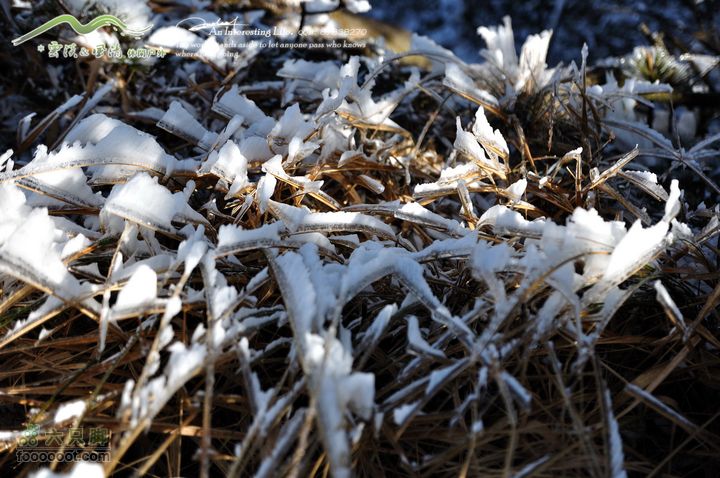 牯牛降穿越DSC_2237