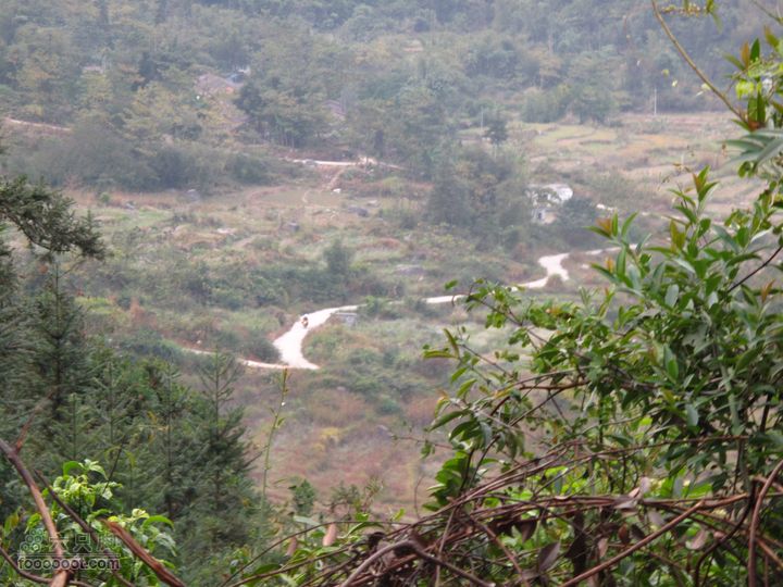 老虎山-云岭镇-罗坑镇穿越跑得比兔子还快