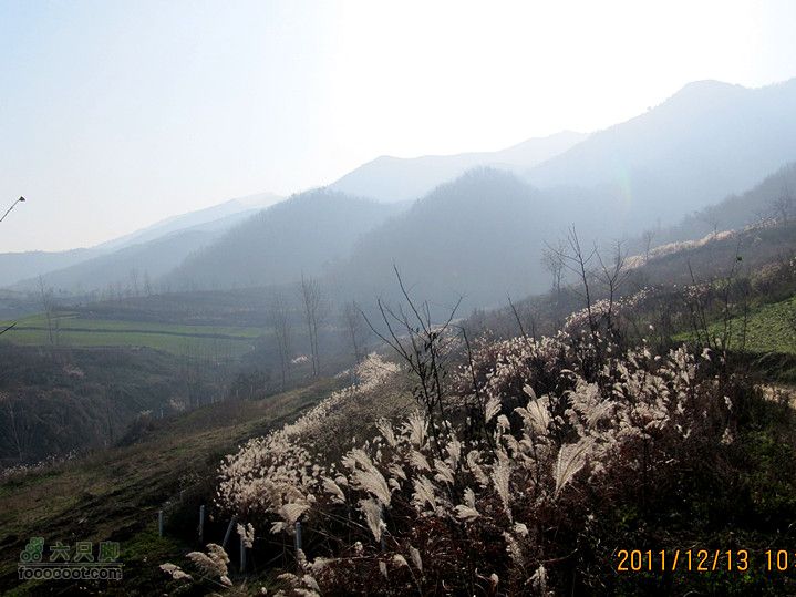 12.13， 16人浅山行2011.12.13 069_副本