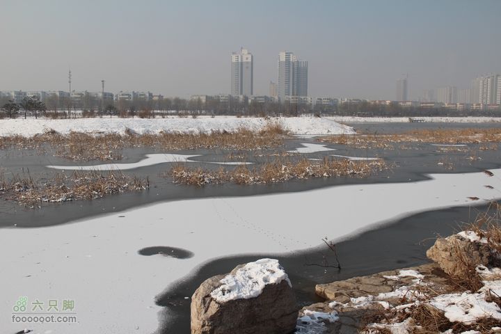 汾河公园环游IMG_5545