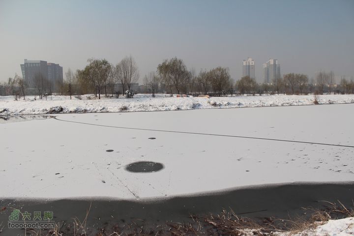 汾河公园环游IMG_5546