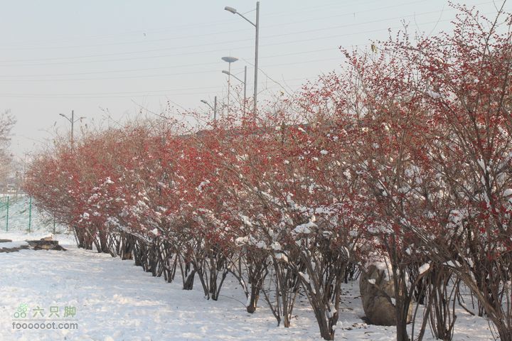 汾河公园环游IMG_5561