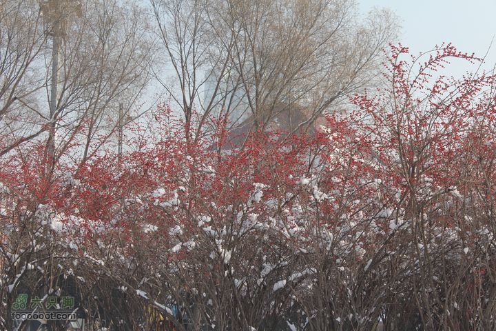 汾河公园环游IMG_5566