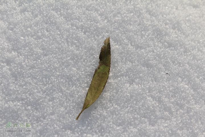 汾河公园环游IMG_5567