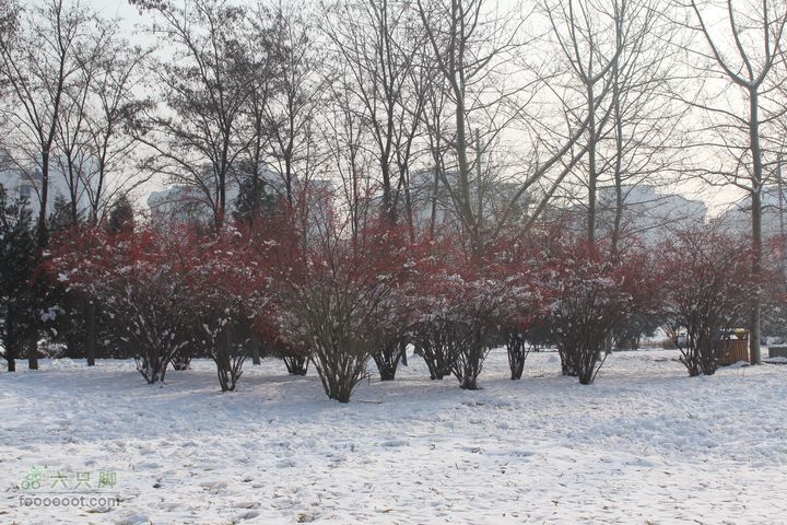 汾河公园环游IMG_5569