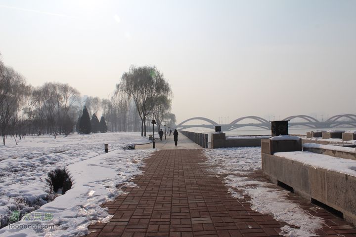 汾河公园环游IMG_5578