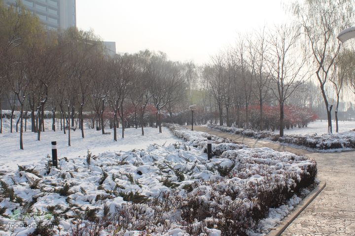 汾河公园环游IMG_5589