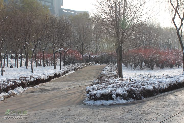 汾河公园环游IMG_5590