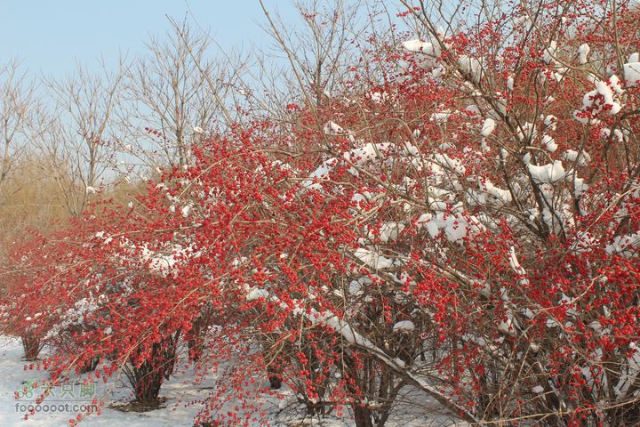 汾河公园环游IMG_5593