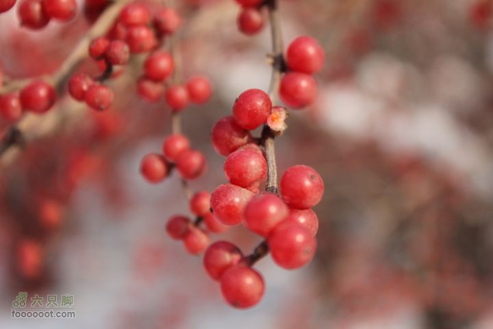 汾河公园环游IMG_5594