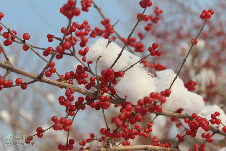 汾河公园环游IMG_5595