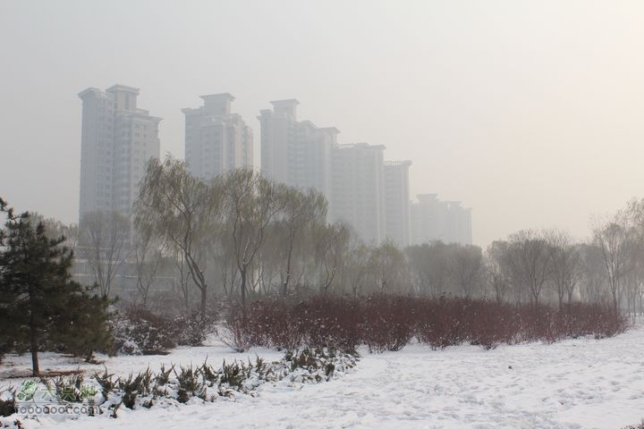 汾河公园环游IMG_5628