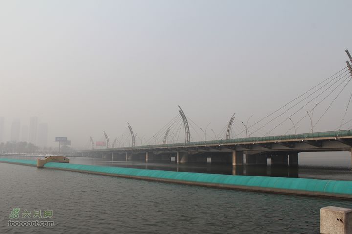 汾河公园环游IMG_5629