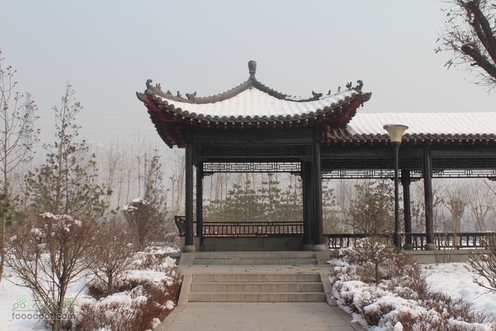 汾河公园环游IMG_5638