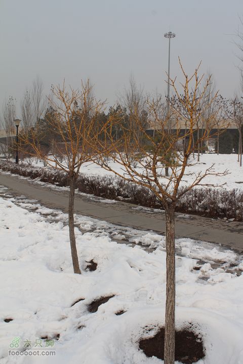 汾河公园环游IMG_5660