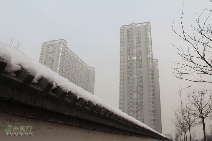 汾河公园环游IMG_5686