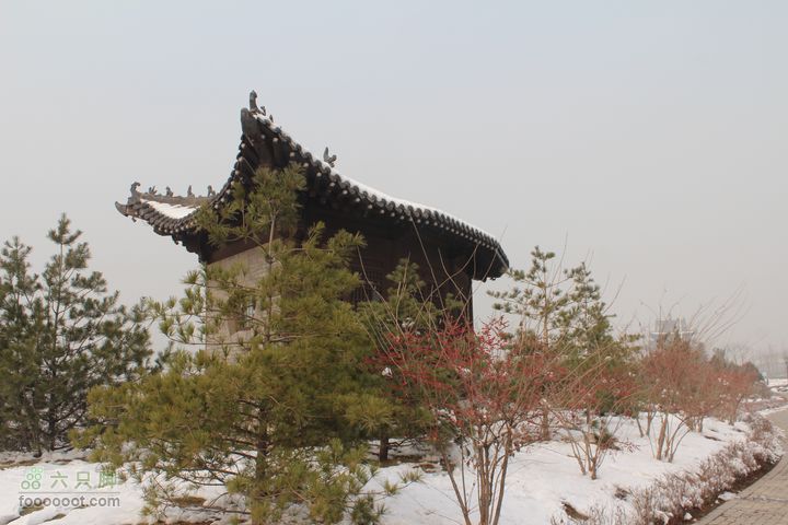 汾河公园环游IMG_5656