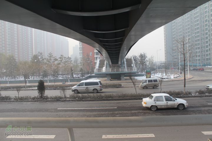 汾河公园环游IMG_5677
