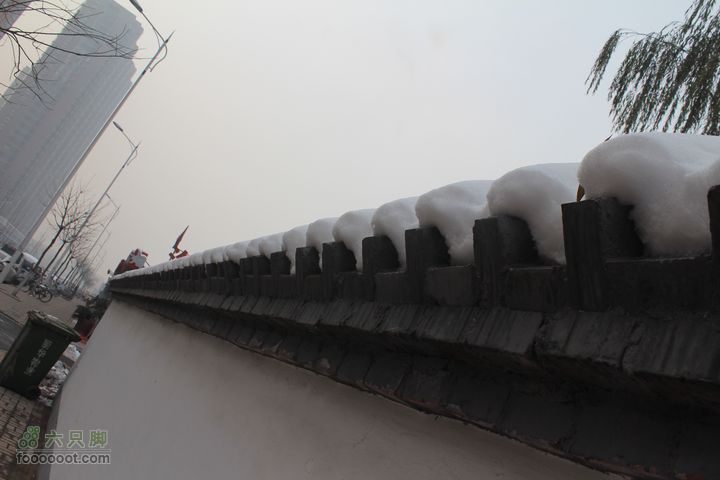 汾河公园环游IMG_5684