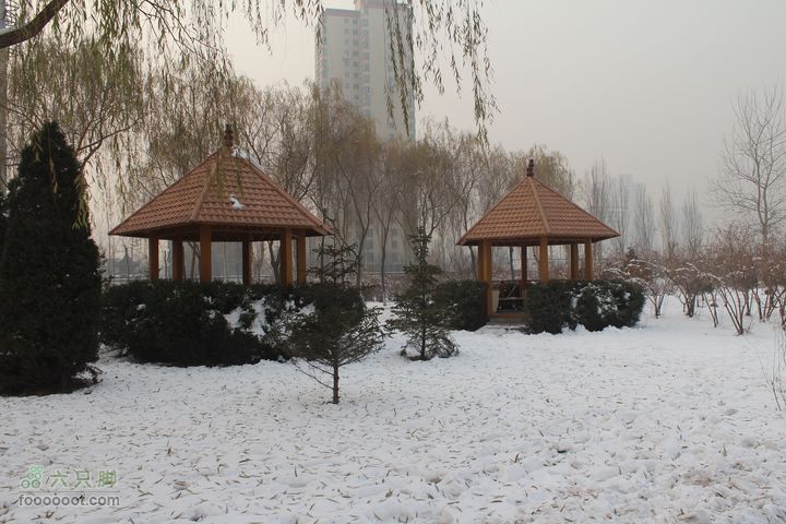 汾河公园环游IMG_5703