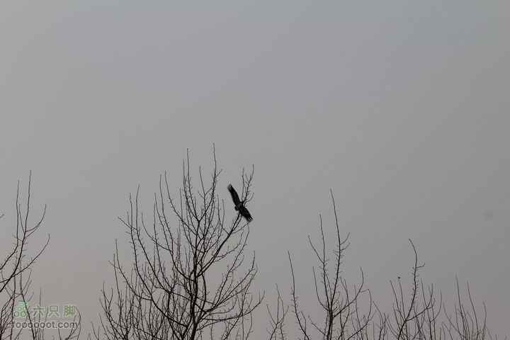 汾河公园环游IMG_5708
