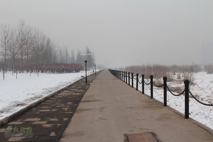 汾河公园环游IMG_5712