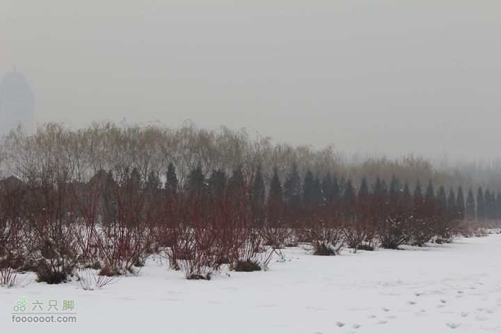 汾河公园环游IMG_5741