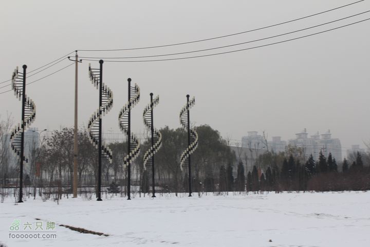 汾河公园环游IMG_5754