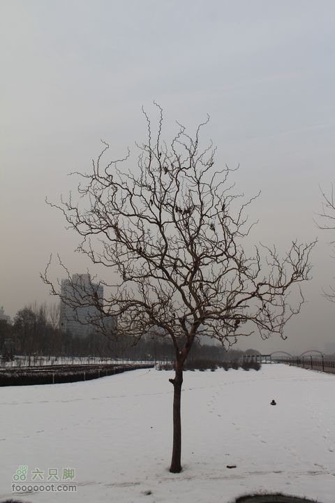 汾河公园环游IMG_5778