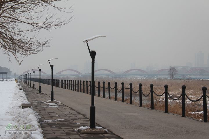 汾河公园环游IMG_5781
