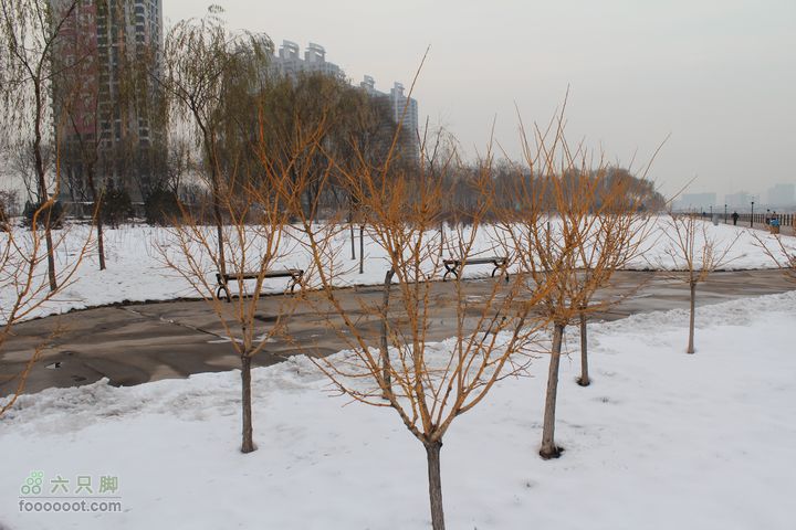 汾河公园环游IMG_5785