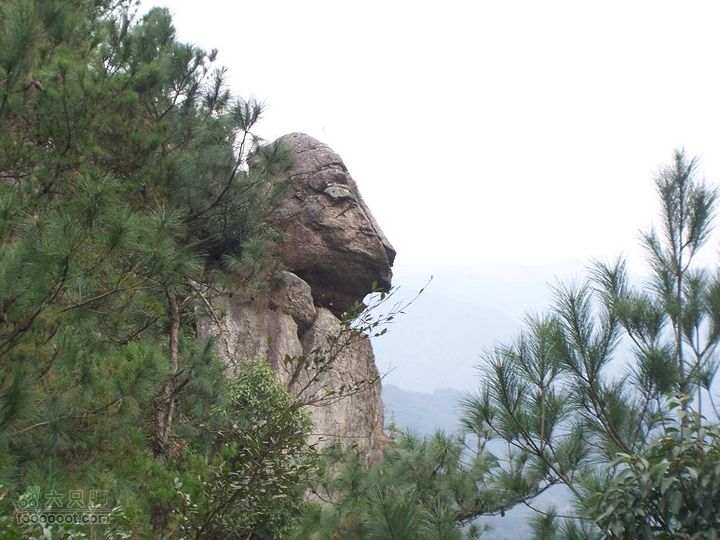 鼓岭古道－鼓岭牛头寨－鳝溪2011_1211_123809