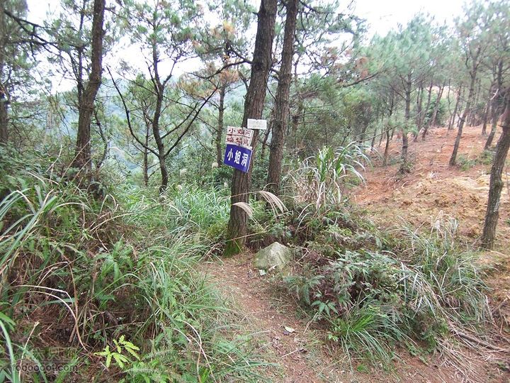 鼓岭古道－鼓岭牛头寨－鳝溪2011_1211_124658