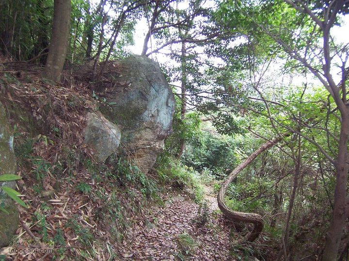 鼓岭古道－鼓岭牛头寨－鳝溪2011_1211_125112