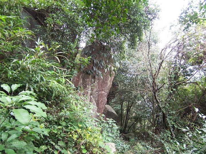 鼓岭古道－鼓岭牛头寨－鳝溪2011_1211_125503