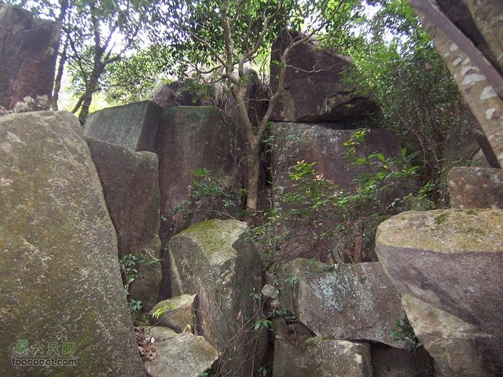 鼓岭古道－鼓岭牛头寨－鳝溪2011_1211_125613
